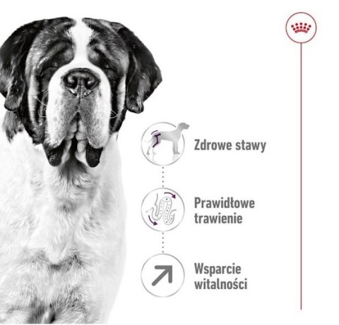 Royal Canin Giant Adult karma sucha dla psów dorosłych, od 18/24 miesiąca życia, ras olbrzymich PROMOCJA 18kg (15+3kg) Royal Canin Giant Adult karma sucha dla psów dorosłych, od 18/24 miesiąca życia, ras olbrzymich PROMOCJA 18kg (15+3kg)