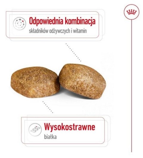 Royal Canin Giant Adult karma sucha dla psów dorosłych, od 18/24 miesiąca życia, ras olbrzymich PROMOCJA 18kg (15+3kg) Royal Canin Giant Adult karma sucha dla psów dorosłych, od 18/24 miesiąca życia, ras olbrzymich PROMOCJA 18kg (15+3kg)