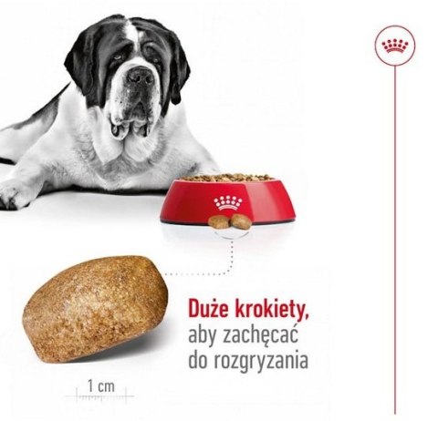 Royal Canin Giant Adult karma sucha dla psów dorosłych, od 18/24 miesiąca życia, ras olbrzymich PROMOCJA 18kg (15+3kg) Royal Canin Giant Adult karma sucha dla psów dorosłych, od 18/24 miesiąca życia, ras olbrzymich PROMOCJA 18kg (15+3kg)
