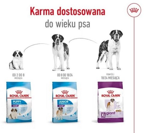 Royal Canin Giant Adult karma sucha dla psów dorosłych, od 18/24 miesiąca życia, ras olbrzymich PROMOCJA 18kg (15+3kg) Royal Canin Giant Adult karma sucha dla psów dorosłych, od 18/24 miesiąca życia, ras olbrzymich PROMOCJA 18kg (15+3kg)