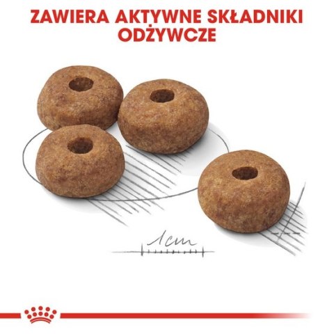 Royal Canin Medium Sterilised karma sucha dla psów dorosłych, ras średnich, sterylizowanych 3kg Royal Canin Medium Sterilised karma sucha dla psów dorosłych, ras średnich, sterylizowanych 3kg