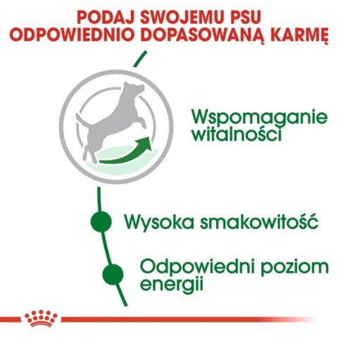 Royal Canin Mini Adult 8+ karma sucha dla psów starszych od 8 do 12 roku życia, ras małych 8kg Royal Canin Mini Adult 8+ karma sucha dla psów starszych od 8 do 12 roku życia, ras małych 8kg