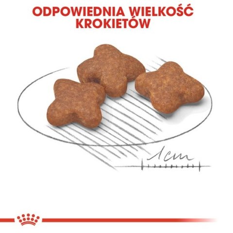 Royal Canin Mini Adult 8+ karma sucha dla psów starszych od 8 do 12 roku życia, ras małych 8kg Royal Canin Mini Adult 8+ karma sucha dla psów starszych od 8 do 12 roku życia, ras małych 8kg