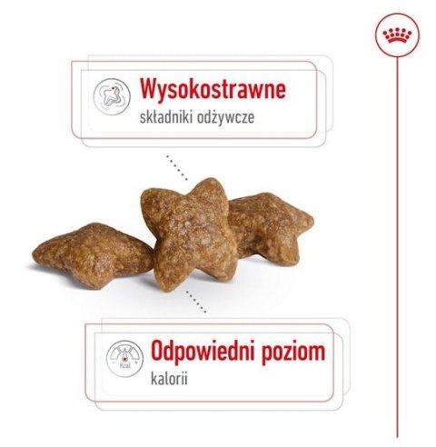 Royal Canin Mini Adult karma sucha dla psów dorosłych, ras małych 8kg Royal Canin Mini Adult karma sucha dla psów dorosłych, ras małych 8kg