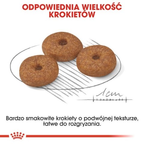 Royal Canin Mini Ageing 12+ karma sucha dla psów dojrzałych po 12 roku życia, ras małych 3,5kg Royal Canin Mini Ageing 12+ karma sucha dla psów dojrzałych po 12 roku życia, ras małych 3,5kg