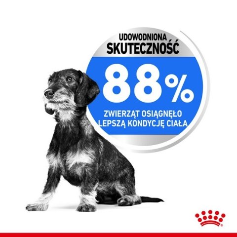 Royal Canin Mini Light Weight Care karma sucha dla psów dorosłych, ras małych z tendencją do nadwagi 3kg Royal Canin Mini Light Weight Care karma sucha dla psów dorosłych, ras małych z tendencją do nadwagi 3kg