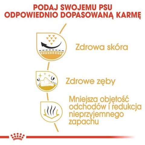 Royal Canin Shih Tzu Adult karma sucha dla psów dorosłych rasy shih tzu 7,5kg Royal Canin Shih Tzu Adult karma sucha dla psów dorosłych rasy shih tzu 7,5kg