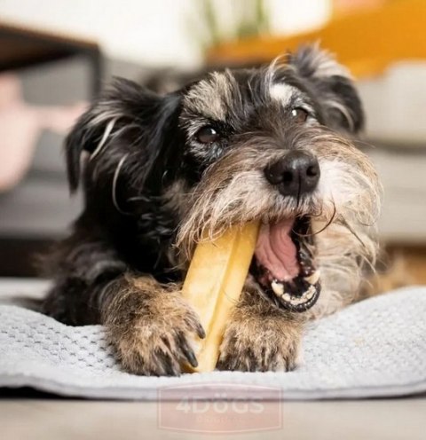 4DOGS Gryzak z sera himalajskiego Churpi Original L 4DOGS Gryzak z sera himalajskiego Churpi Original L