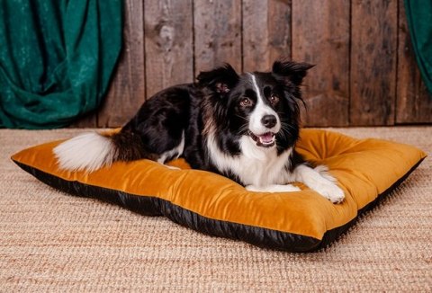MIMIKO Pets Legowisko Poducha Velvet 100x70cm musztarda MIMIKO Pets Legowisko Poducha Velvet 100x70cm musztarda
