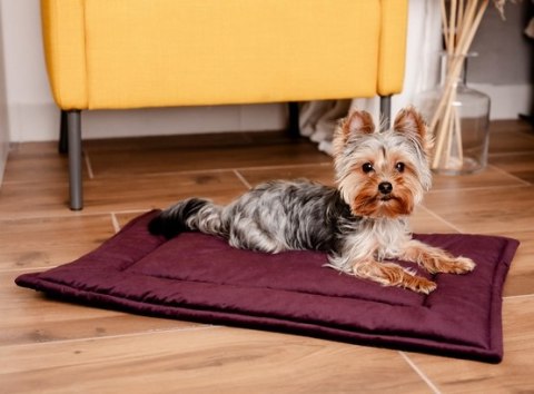 MIMIKO Pets Mata Velvet 70x50cm śliwka MIMIKO Pets Mata Velvet 70x50cm śliwka