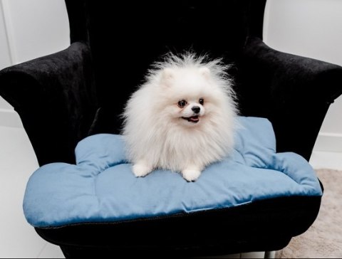 MIMIKO Pets Mata Velvet Form Chmurka MIMIKO Pets Mata Velvet Form Chmurka
