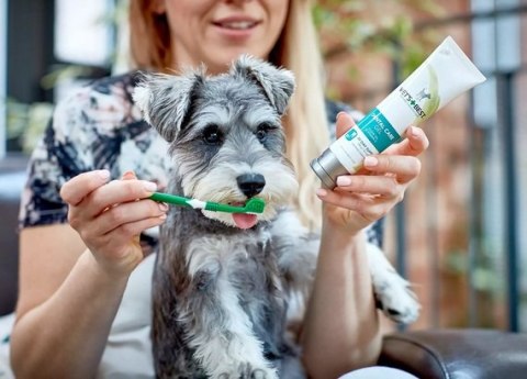 Vet's Best Dental żel + szczoteczka zestaw Adult Vet's Best Dental żel + szczoteczka zestaw Adult