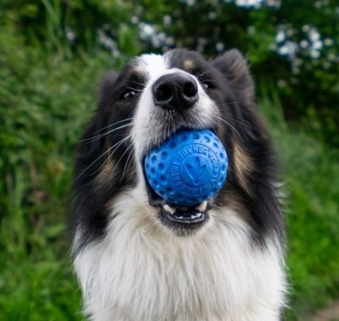 Kiwi Walker Let's Play Ball Maxi piłka pomarańczowa Kiwi Walker Let's Play Ball Maxi piłka pomarańczowa