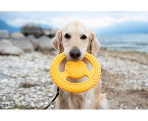 Kiwi Walker Let's Play Frisbee Maxi pomarańczowe Kiwi Walker Let's Play Frisbee Maxi pomarańczowe