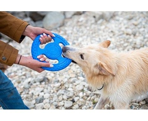 Kiwi Walker Let's Play Frisbee Mini niebieskie Kiwi Walker Let's Play Frisbee Mini niebieskie