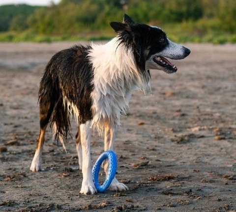 Kiwi Walker Let's Play Ring Maxi niebieski Kiwi Walker Let's Play Ring Maxi niebieski