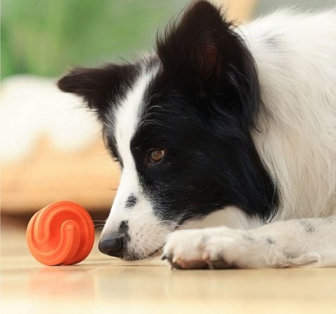 PetDreamHouse Zabawka gumowa Geo-Hex błękitna PetDreamHouse Zabawka gumowa Geo-Hex błękitna