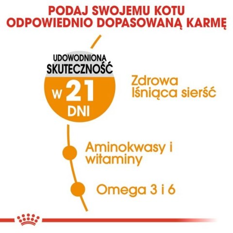 Royal Canin Hair&Skin Care karma sucha dla kotów dorosłych, lśniąca sierść i zdrowa skóra 4kg Royal Canin Hair&Skin Care karma sucha dla kotów dorosłych, lśniąca sierść i zdrowa skóra 4kg