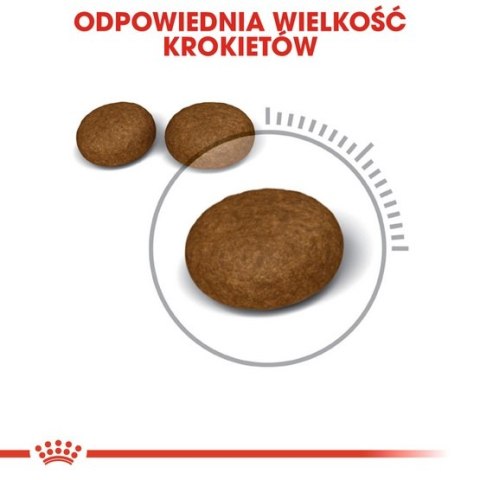 Royal Canin Hair&Skin Care karma sucha dla kotów dorosłych, lśniąca sierść i zdrowa skóra 4kg Royal Canin Hair&Skin Care karma sucha dla kotów dorosłych, lśniąca sierść i zdrowa skóra 4kg