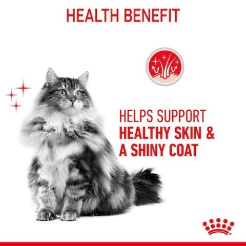Royal Canin Hair&Skin Care karma sucha dla kotów dorosłych, lśniąca sierść i zdrowa skóra 4kg Royal Canin Hair&Skin Care karma sucha dla kotów dorosłych, lśniąca sierść i zdrowa skóra 4kg