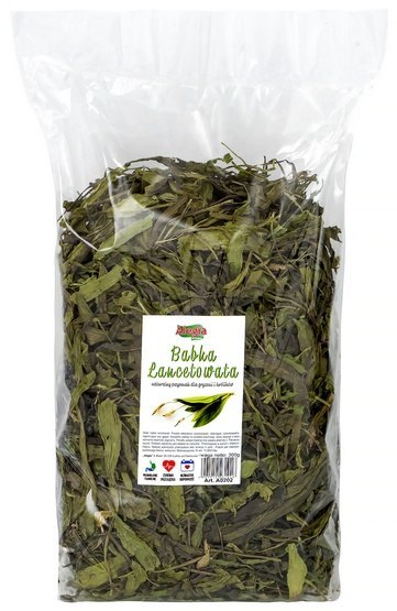 Alegia Babka lancetowata 300g Alegia Babka lancetowata 300g