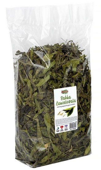 Alegia Babka lancetowata 300g Alegia Babka lancetowata 300g