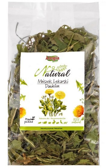 Alegia Mniszek lekarski 90g Alegia Mniszek lekarski 90g