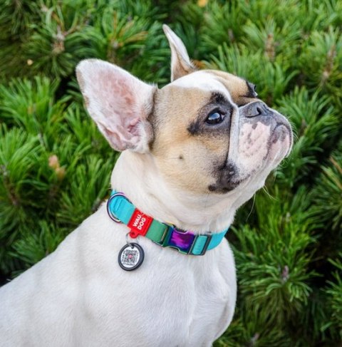 Collar WauDog Recycled Obroża nylonowa z QR-paszportem, gradient M 20mm x 28-40cm niebieski Collar WauDog Recycled Obroża nylonowa z QR-paszportem, gradient M 20mm x 28-40cm niebieski