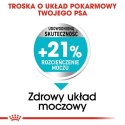 Royal Canin Mini Urinary Care karma sucha dla psów dorosłych, ras małych, ochrona dolnych dróg moczowych 3kg