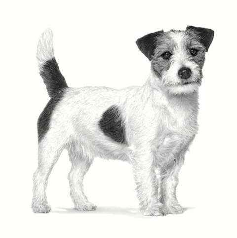 Royal Canin Veterinary Diet Canine Anallergenic Small 1,5kg Royal Canin Veterinary Diet Canine Anallergenic Small 1,5kg