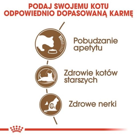 Royal Canin Ageing +12 karma sucha dla kotów dojrzałych 4kg Royal Canin Ageing +12 karma sucha dla kotów dojrzałych 4kg