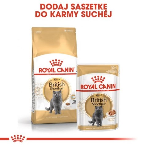 Royal Canin British Shorthair Adult karma sucha dla kotów dorosłych rasy brytyjski krótkowłosy 4kg Royal Canin British Shorthair Adult karma sucha dla kotów dorosłych rasy brytyjski krótkowłosy 4kg