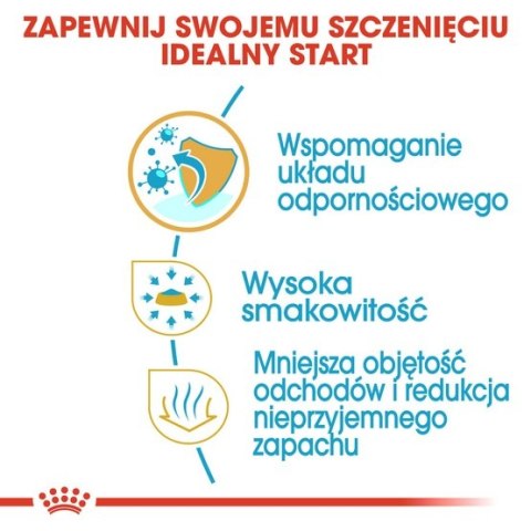 Royal Canin Chihuahua Puppy karma sucha dla szczeniąt do 8 miesiąca, rasy chihuahua 1,5kg Royal Canin Chihuahua Puppy karma sucha dla szczeniąt do 8 miesiąca, rasy chihuahua 1,5kg