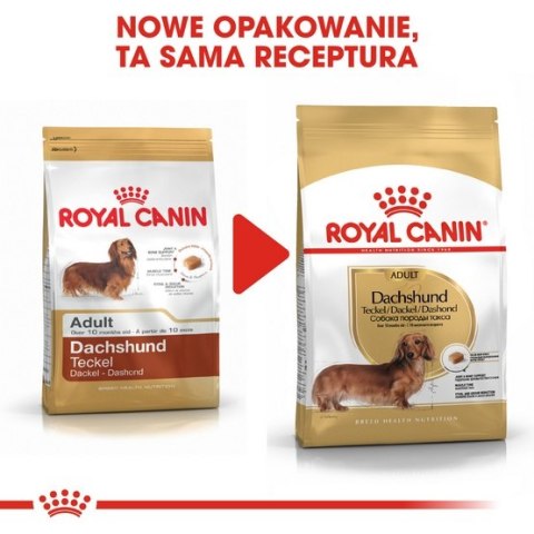 Royal Canin Dachshund Adult karma sucha dla psów dorosłych rasy jamnik 1,5kg Royal Canin Dachshund Adult karma sucha dla psów dorosłych rasy jamnik 1,5kg
