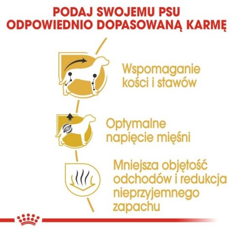Royal Canin Dachshund Adult karma sucha dla psów dorosłych rasy jamnik 1,5kg Royal Canin Dachshund Adult karma sucha dla psów dorosłych rasy jamnik 1,5kg