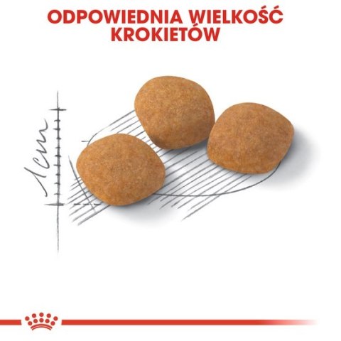 Royal Canin Exigent Protein Preference karma sucha dla kotów dorosłych, wybrednych, kierujących się białkiem 2kg Royal Canin Exigent Protein Preference karma sucha dla kotów dorosłych, wybrednych, kierujących się białkiem 2kg