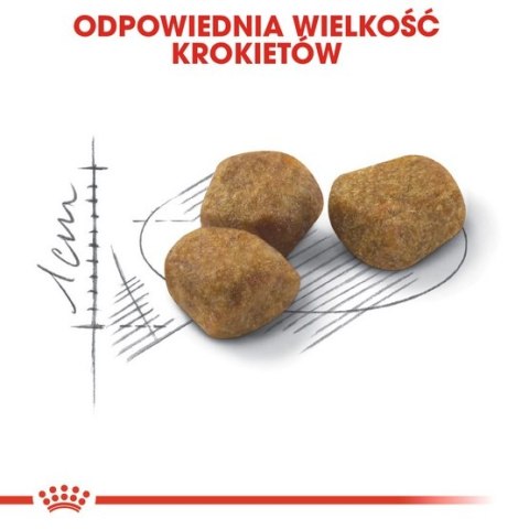 Royal Canin Fit karma sucha dla kotów dorosłych, wspierająca idealną kondycję 2kg Royal Canin Fit karma sucha dla kotów dorosłych, wspierająca idealną kondycję 2kg