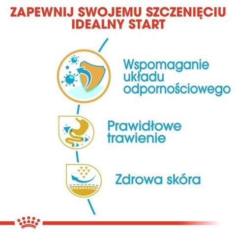 Royal Canin French Bulldog Puppy karma sucha dla szczeniąt do 12 miesiąca, rasy buldog francuski 1kg Royal Canin French Bulldog Puppy karma sucha dla szczeniąt do 12 miesiąca, rasy buldog francuski 1kg
