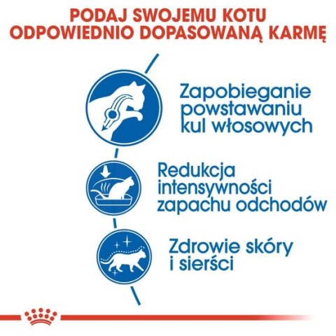 Royal Canin Indoor Long Hair karma sucha dla kotów dorosłych, długowłose, przebywających wyłącznie w domu 400g Royal Canin Indoor Long Hair karma sucha dla kotów dorosłych, długowłose, przebywających wyłącznie w domu 400g