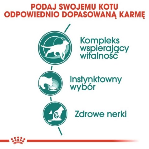 Royal Canin Instinctive +7 w sosie karma mokra dla kotów starszych, wybrednych saszetka 85g Royal Canin Instinctive +7 w sosie karma mokra dla kotów starszych, wybrednych saszetka 85g