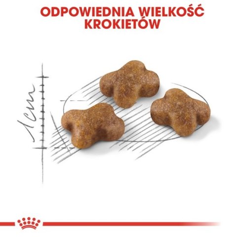 Royal Canin Kitten karma sucha dla kociąt od 4 do 12 miesiąca życia 10kg Royal Canin Kitten karma sucha dla kociąt od 4 do 12 miesiąca życia 10kg