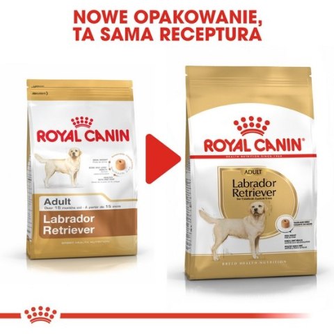 Royal Canin Labrador Retriever Adult karma sucha dla psów dorosłych rasy labrador retriever 12kg Royal Canin Labrador Retriever Adult karma sucha dla psów dorosłych rasy labrador retriever 12kg