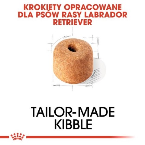 Royal Canin Labrador Retriever Adult karma sucha dla psów dorosłych rasy labrador retriever 12kg Royal Canin Labrador Retriever Adult karma sucha dla psów dorosłych rasy labrador retriever 12kg