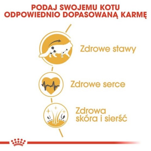 Royal Canin Maine Coon Adult karma sucha dla kotów dorosłych rasy maine coon 400g Royal Canin Maine Coon Adult karma sucha dla kotów dorosłych rasy maine coon 400g