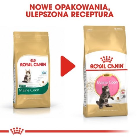 Royal Canin Maine Coon Kitten karma sucha dla kociąt, do 15 miesiąca, rasy maine coon 4kg Royal Canin Maine Coon Kitten karma sucha dla kociąt, do 15 miesiąca, rasy maine coon 4kg