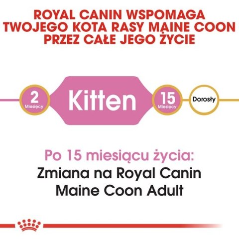 Royal Canin Maine Coon Kitten karma sucha dla kociąt, do 15 miesiąca, rasy maine coon 4kg Royal Canin Maine Coon Kitten karma sucha dla kociąt, do 15 miesiąca, rasy maine coon 4kg