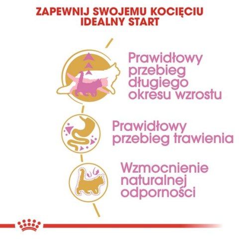 Royal Canin Maine Coon Kitten karma sucha dla kociąt, do 15 miesiąca, rasy maine coon 4kg Royal Canin Maine Coon Kitten karma sucha dla kociąt, do 15 miesiąca, rasy maine coon 4kg