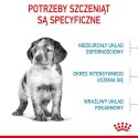 Royal Canin Medium Puppy karma sucha dla szczeniąt, od 2 do 12 miesiąca, ras średnich 15kg