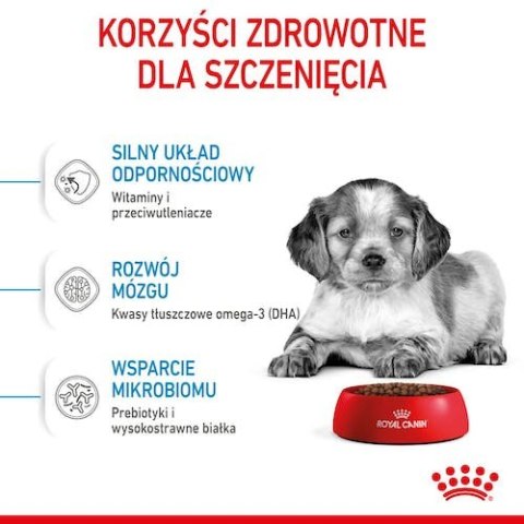 Royal Canin Medium Puppy karma sucha dla szczeniąt, od 2 do 12 miesiąca, ras średnich 15kg Royal Canin Medium Puppy karma sucha dla szczeniąt, od 2 do 12 miesiąca, ras średnich 15kg