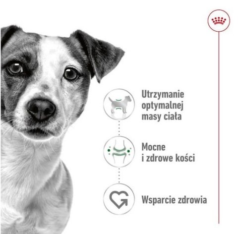 Royal Canin Mini Adult karma sucha dla psów dorosłych, ras małych 2kg Royal Canin Mini Adult karma sucha dla psów dorosłych, ras małych 2kg